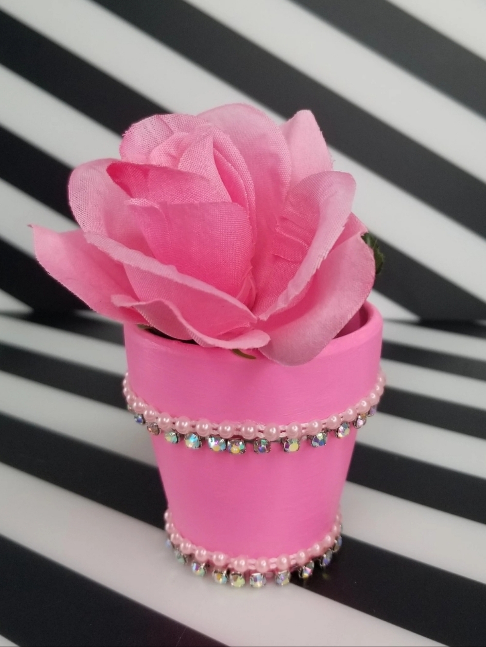 Pink Pearl Bling Succulent Flower Pot
